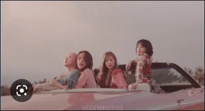 Combien ont-elles de chiens ?