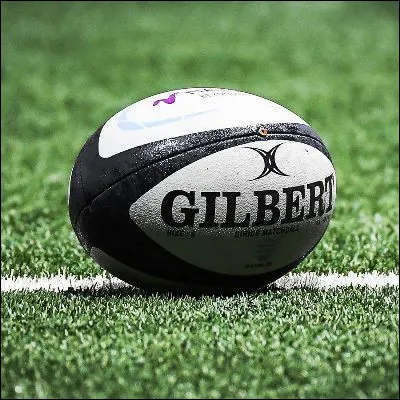 Quel rugbyman, recordman du nombre d�essais marqu&eacute;s en Coupe du monde, est d&eacute;c&eacute;d&eacute; pr&eacute;matur&eacute;ment &agrave; l�&acirc;ge de 40 ans ?