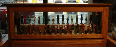 La maladie de Kaposi atteint...