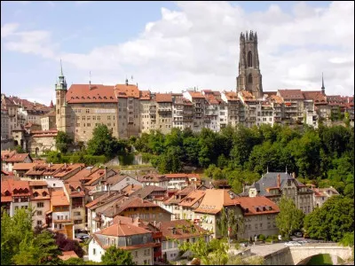 Dans quel pays autre que l'Allemagne, peut-on aller à Fribourg, chef-lieu du canton de même nom ?