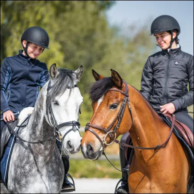 Comment s'appelle le lieu où l'on monte à cheval ?