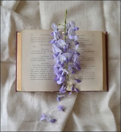 Qui a écrit "L'Arlésienne" ?