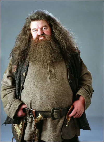 Deuxième question, quelle créature Rubeus Hagrid est-il ?