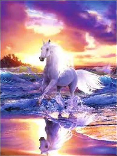 Comment dit-on le mot "magnifique" en espagnol ?