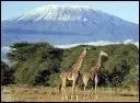 O peut-on escalader le Kilimandjaro, le plus haut sommet d'Afrique ?