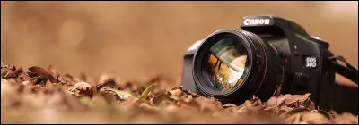 Si l'affirmation de la question précédente est vraie, pourquoi ne peuvent-ils pas être photographiés ou filmés ?