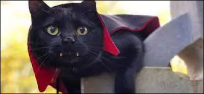 D'après la légende, comment un chat peut devenir un vampire ?