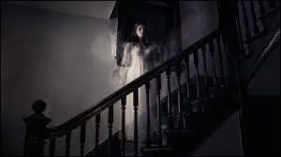 À quelle famille appartient un fantôme ?