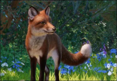 Lequel de ces prédateurs est un ennemi de la chauve-souris ?