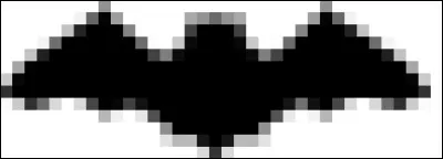 Que signifie ''Chiroptères'' ?