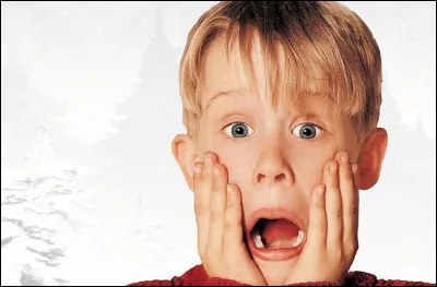 Comment s'appelle le personnage principal dans le film "Maman, j'ai raté l'avion !" ?