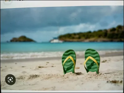 Quel type de vacances préfères-tu ?