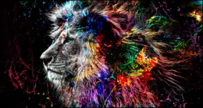 Et les tableaux ? Aimes-tu ?