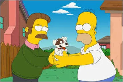 Dans la série d'animation "Les Simpson", quel est le nom du voisin le plus proche de la famille Simpson à Springfield ?