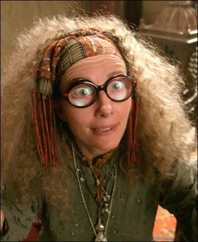 Quelle matière Trelawney enseigne-t-elle dans "Harry Potter" ?