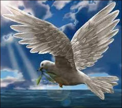Arche de Noé : pour savoir si les eaux s'étaient amoindries, Noé lâcha une colombe. Quand elle revint, que tenait-elle dans son bec, annonçant la fin du déluge ?