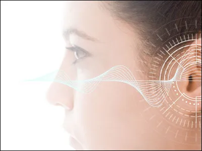 Quel nom donne-t-on aux bruits parasites (dans la majorité des cas subjectifs) qu'une personne peut entendre ?