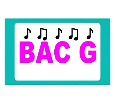 Qui est linterprète de la chanson ''Le Bac G'' ?