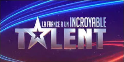 Pour toi, les numéros de "La France a un incroyable talent" doivent être :