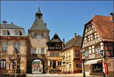 Je vous propose de partir sur la route des vins d'Alsace, à Rosheim. Ville à 7 kilomètres d'Obernai, elle se situe dans le département ...