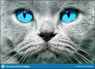 Comment sappelle sa sur ?