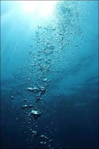 Qu'est-ce qui est très important pour lui ?