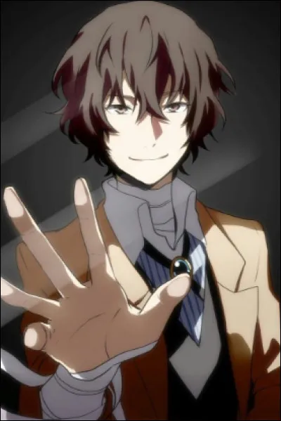 À quel anime appartient-il ?