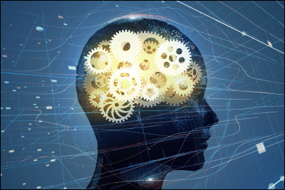 Vrai ou faux ? Le cr&acirc;ne est l'os le plus solide du corps humain.