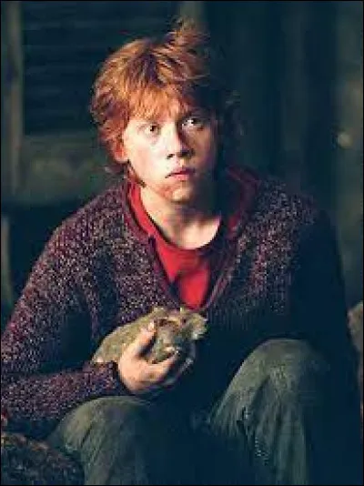 Quel est le nom de son rat qui se révèlera par la suite est Peter Pettigrow ?