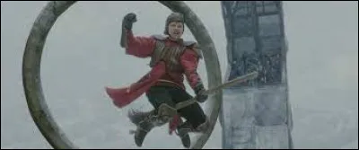 Lors de sa cinquième année, quel poste obtient-il au sein de l'équipe de Quidditch de Gryffondor ?