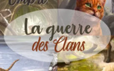 Quiz La guerre des clans