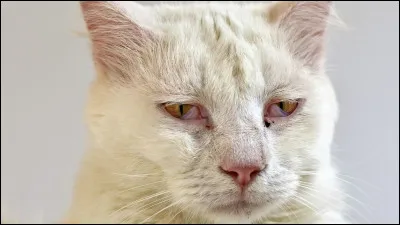 Ton pire ennemi est en train de mourir, que lui dis-tu ?