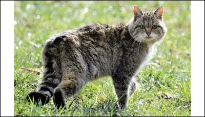 Quelle est ton occupation favorite ?