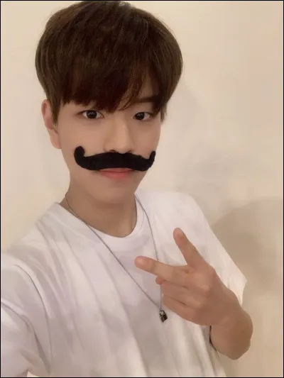 Quel est le nom des fans du groupe ?