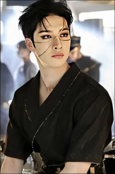 Quand le groupe a-t-il débuté sa carrière ?