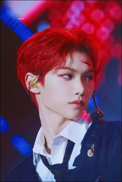 Qui est le leader du groupe ?