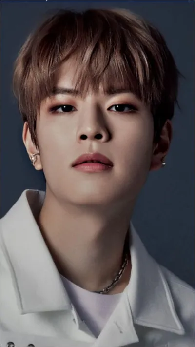 Qui est le membre le plus jeune du groupe ? (maknae)