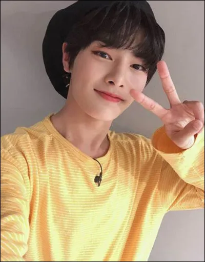 Parmi ces quatre 'lightsticks', lequel est celui de Stray Kids ?