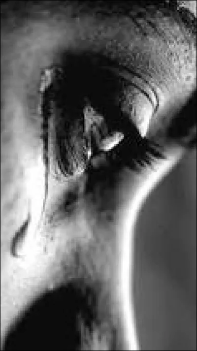 J'ai honte, Lola, que tu aies souffert ... trop longtemps.