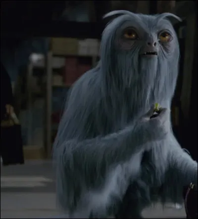 Quels sont les pouvoirs de la demiguise ?