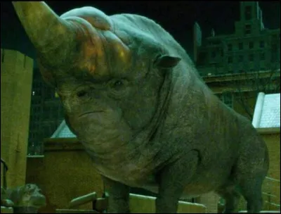 Dans le film, que fait Norbert pour attirer l'éruptif ?