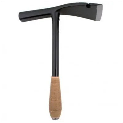 En 1970, combien de t&ecirc;tes a "le Lion" de Glauber Rocha ?