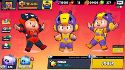 Qui est ce brawler ?