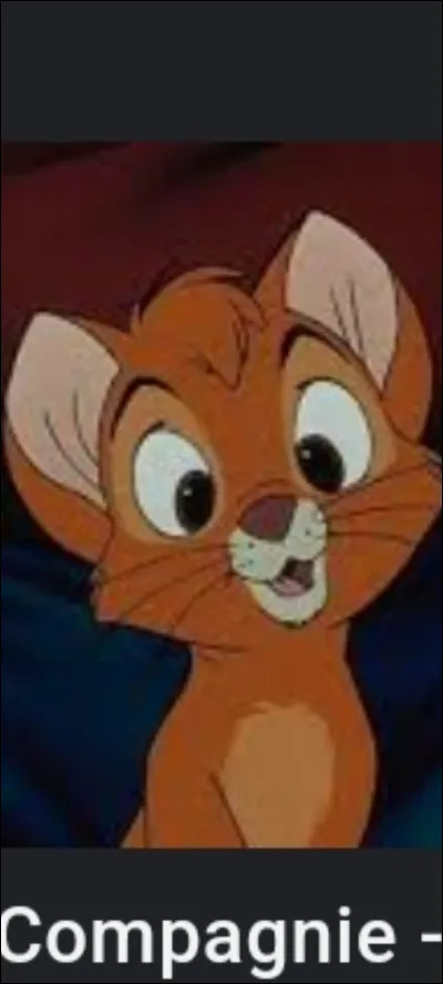 Quel est cet animal ?