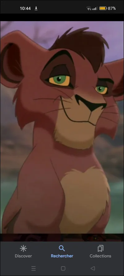 Quel est cet animal ?