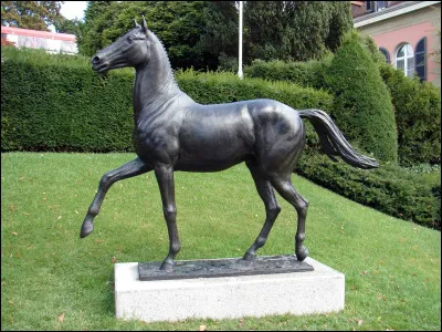 En quelle année est sorti le film "Jappeloup" ?