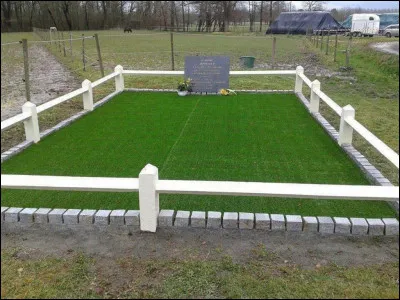 A quel âge Jappeloup est-il décédé ?