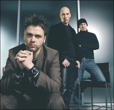 Complétez : 
"Nie wieder - mein... !"