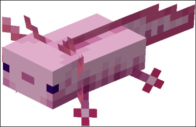 Quel est le nom de l'axolotl leucistique dans les fichiers de textures ?