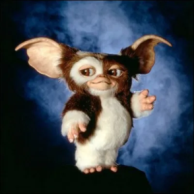 Dans "Gremlins" (1984), quelles sont les 3 règles à respecter ?